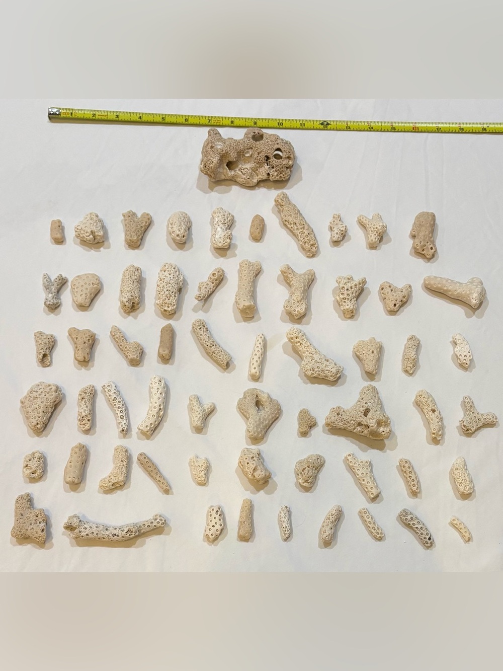 60 ASSORTED CORAL PIECES BONITA - SANIBEL FLORIDA " CRAFTS & COLLECTOR LOT 60